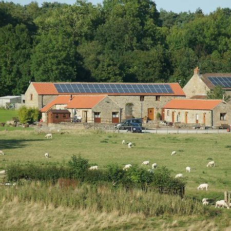 Rawcliffe House Farm Villa Pickering Kültér fotó
