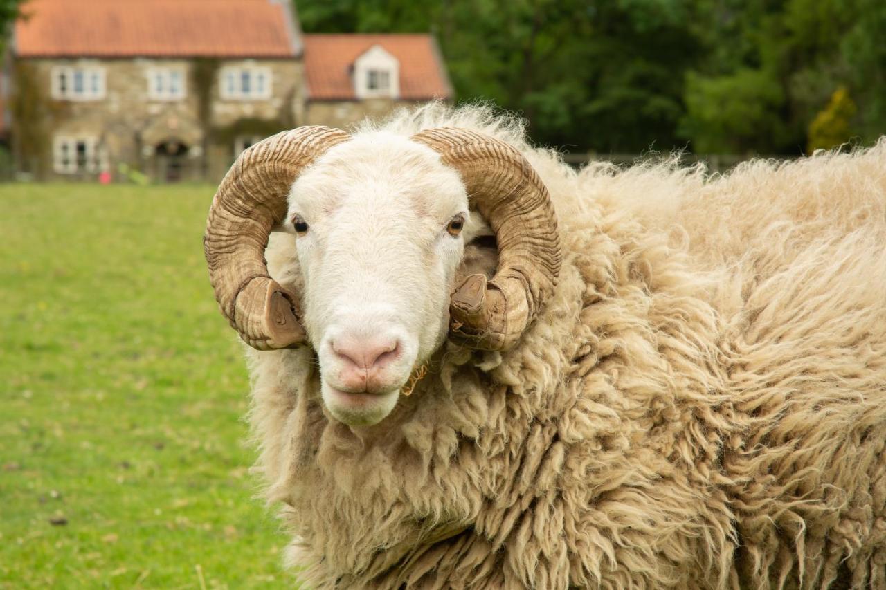 Rawcliffe House Farm Villa Pickering Kültér fotó