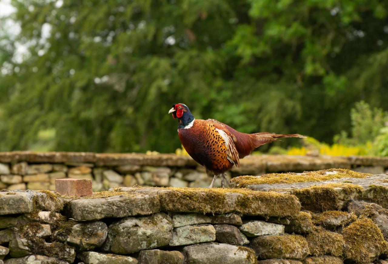 Rawcliffe House Farm Villa Pickering Kültér fotó