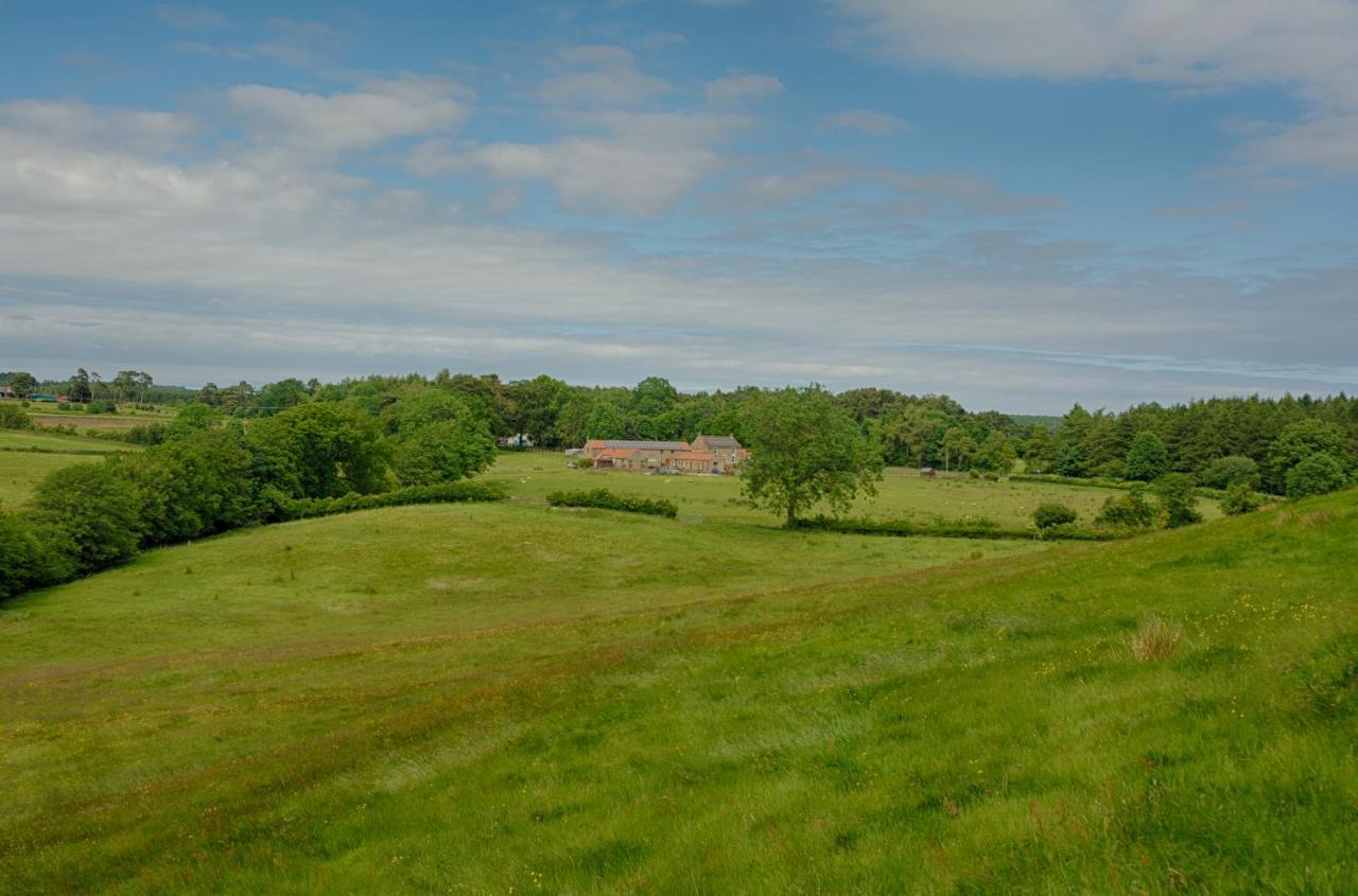 Rawcliffe House Farm Villa Pickering Kültér fotó