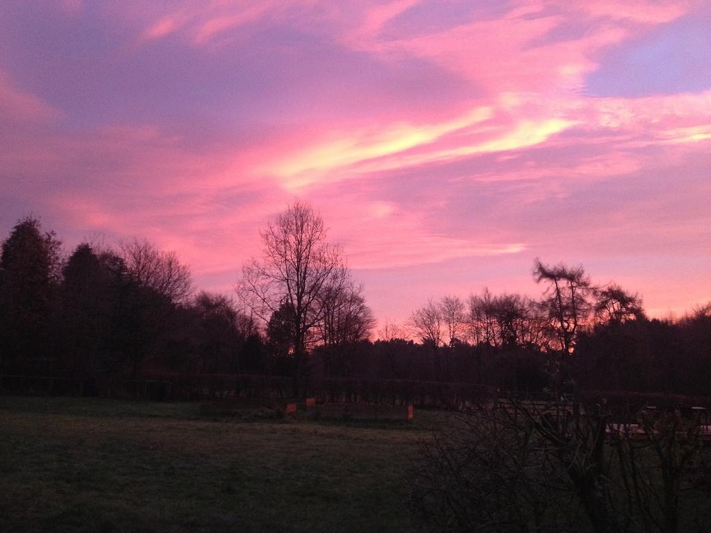 Rawcliffe House Farm Villa Pickering Kültér fotó