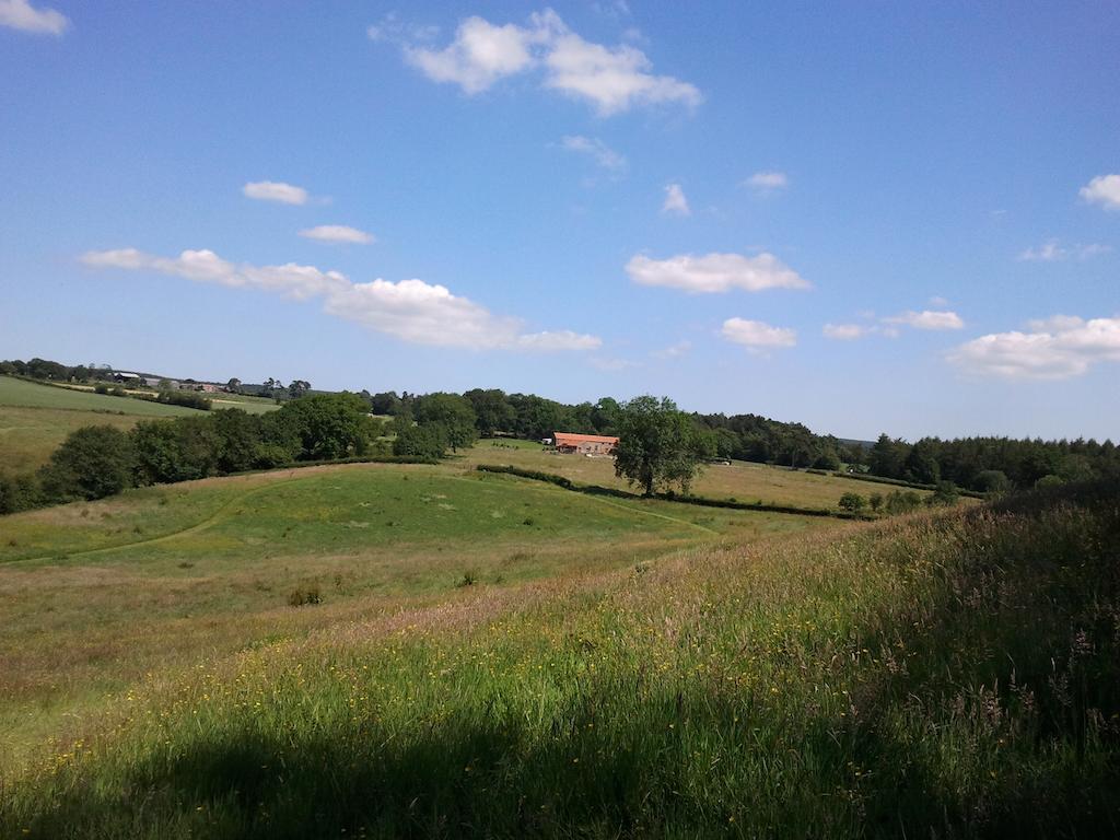 Rawcliffe House Farm Villa Pickering Kültér fotó