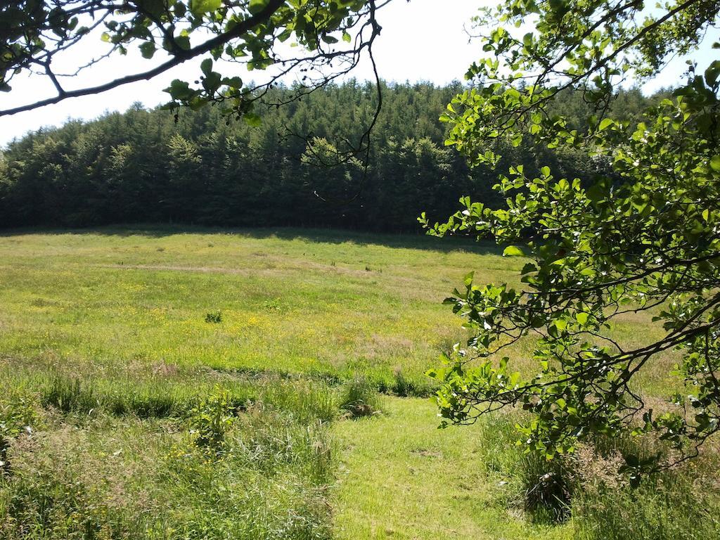 Rawcliffe House Farm Villa Pickering Kültér fotó