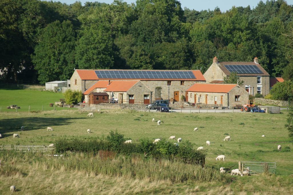 Rawcliffe House Farm Villa Pickering Kültér fotó